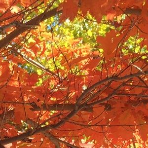 Meet your Posher, Keira